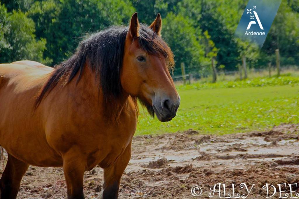 Вилла La Ferme D'A Yaaz Арлон Номер фото